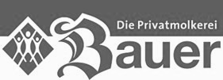 Bauer Wissensmanagement in der Industrie