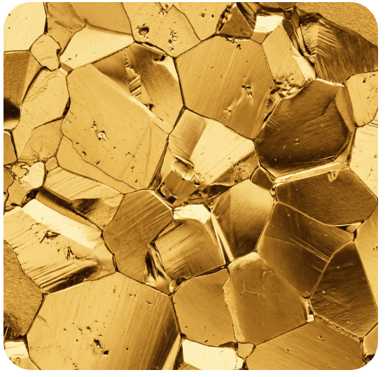 ACP_Digital_Medaillon_Modell_Gold