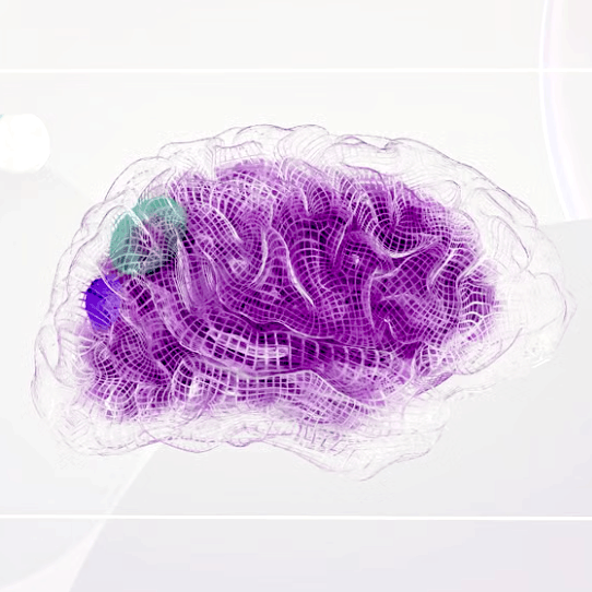 ACP_Digital_Neuronen